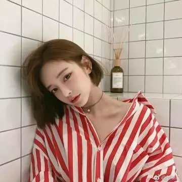 法海你不懂爱